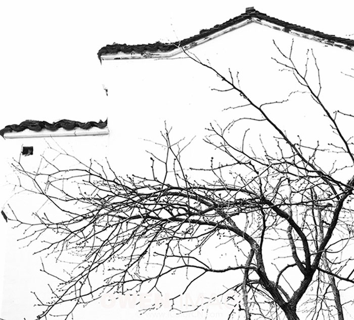 黑白写意，定格徽州时光