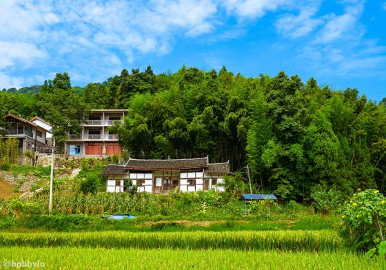 去梁平的乡野间，感受金秋时节里的百年