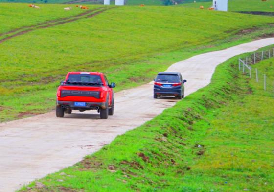 今年到草原玩出新花样，千松坝采蘑菇，