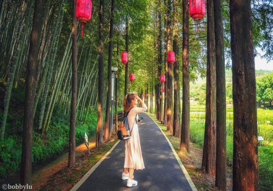 是茶山还是花园？是品茗亦或感怀往事？