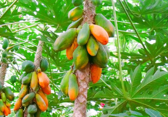 长春周边乡村游，看百年不遇的白鹿，品