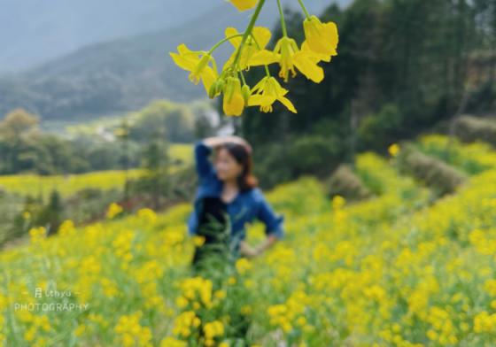 2021的春天走进油菜花的世界，第一次的婺源之旅