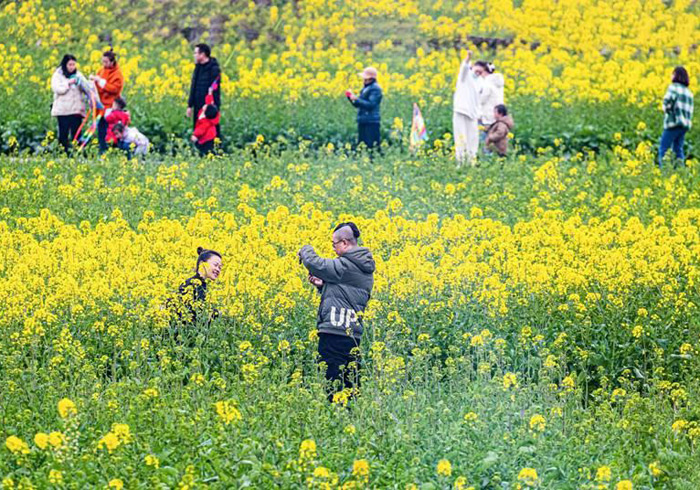 重庆南川区春花盛放，市民游客踏青赏花