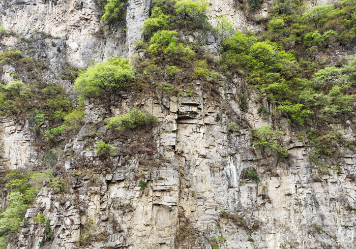 游走咸宁，一碗牛肉粉美了整个旅途
