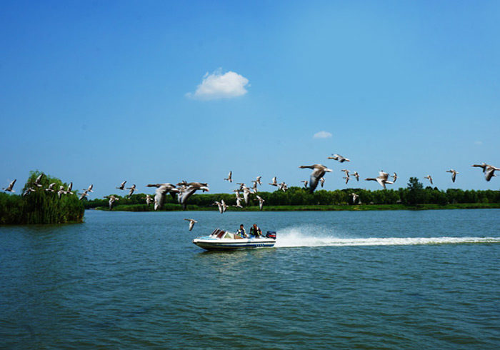 盐城大纵湖，水浒的摇篮，芦苇荡迷宫为