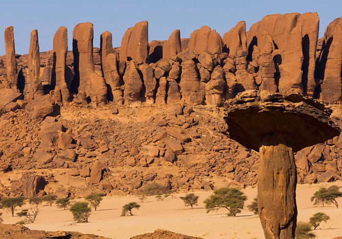 绝美又诡异！非洲恩内迪高原，藏着地球最后的“沙漠鳄鱼”