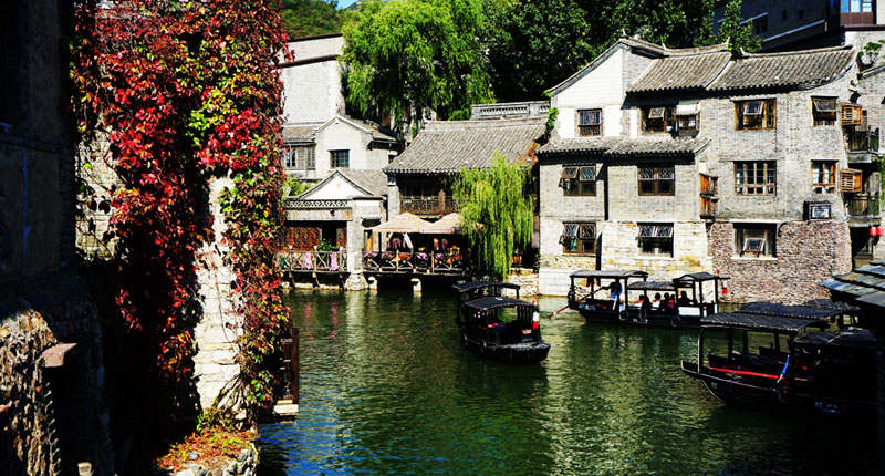 秋日的绝美邂逅