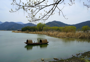 千年江南水乡的时光慢旅