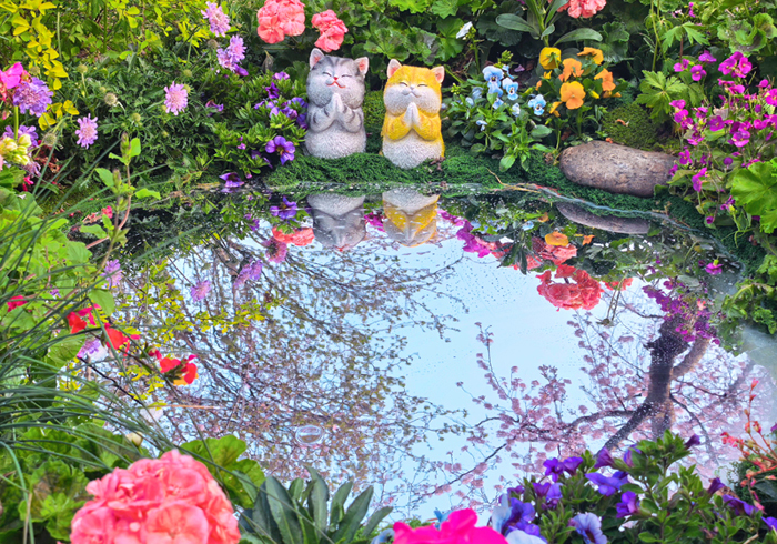 北京15条赏花观景大道造就“最美园路