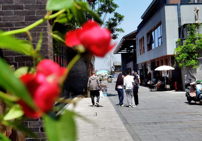 中国旅游协会秘书长葛磊：周口旅游服务优化必须从思想和体制上双管齐下