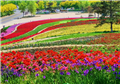 北京国际花园节等你来，这里有很多网红