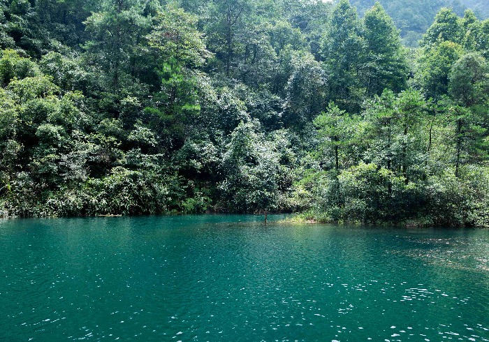 金秋十月杭州周边好去处，风景美空气新鲜，快来带家人们度假吧