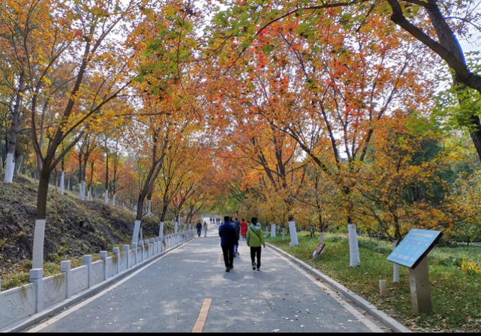 北宫国家森林公园靓丽的深秋美景，吸引游人纷至沓来