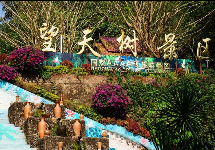 这里被称为“东方亚马逊”，植物绞杀现