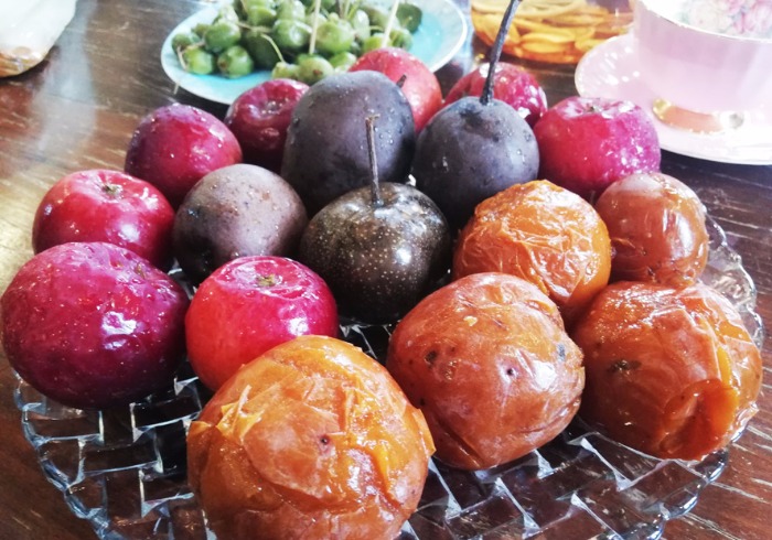 冰冻水果与热腾腾铁锅炖，东北人的吃食