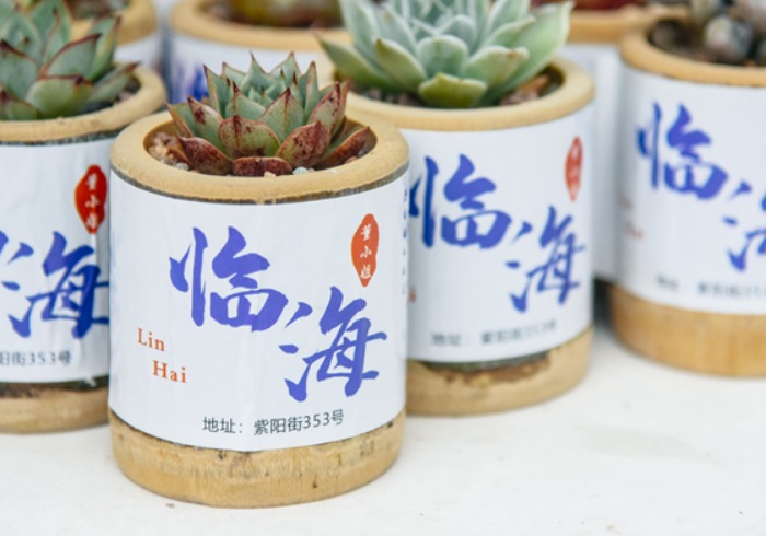 第三次来临海，开启糯叽叽的美食之旅，