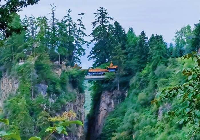漳县贵清山——追寻自然之美的绝佳目的