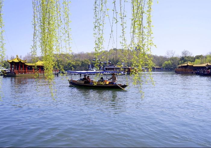 漫步苏堤，一堤烟柳揽湖光