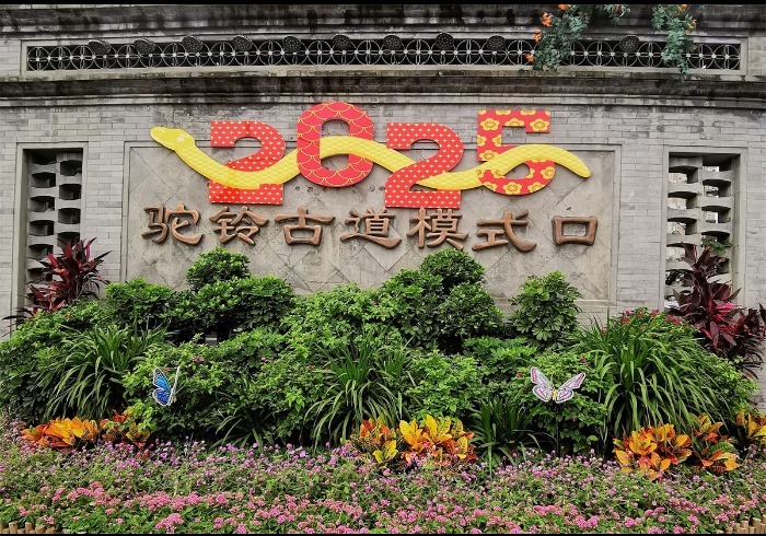 重走模式口老街：驼铃与猫影里的京西古道记忆