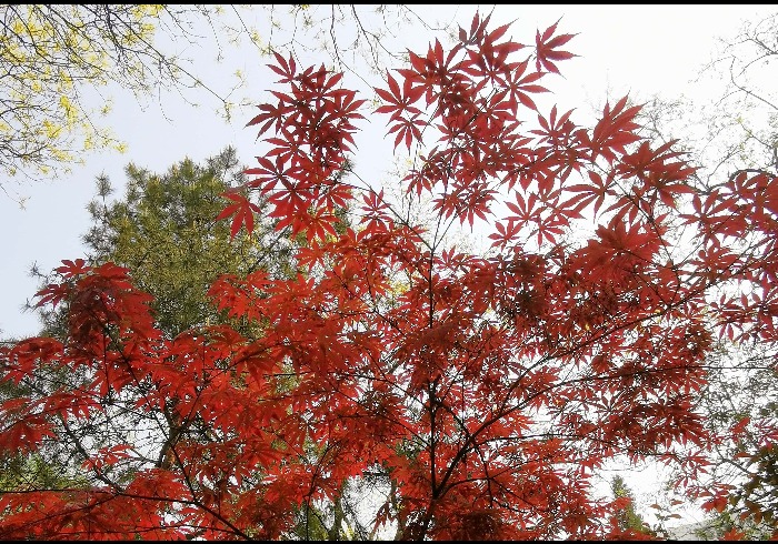 南馆公园，京城的低碳生态花园
