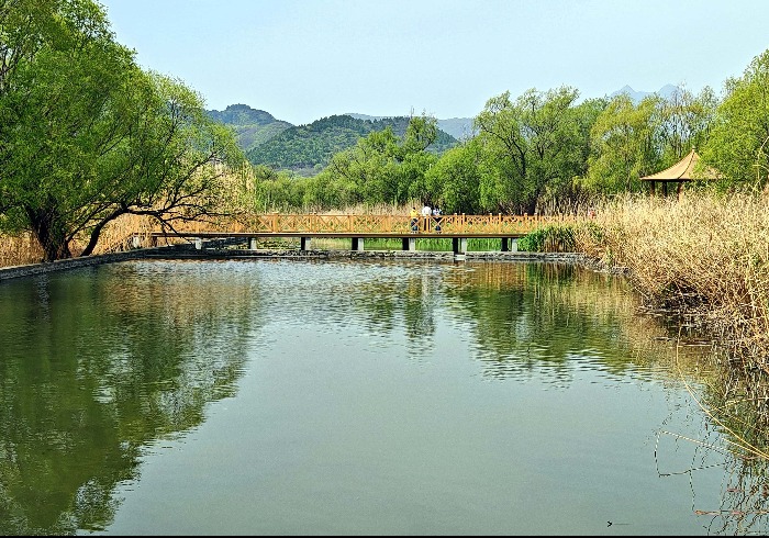 寻迹房山碧水，牛口峪湿地的春日漫游