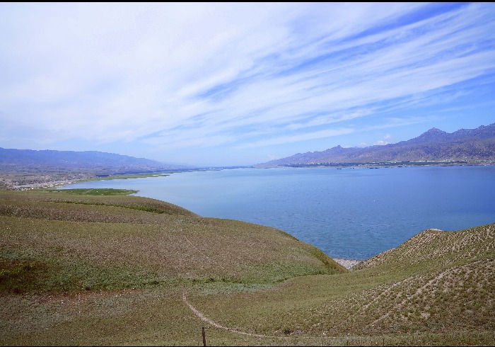 打卡恰西森林公园，沉醉伊犁治愈山水